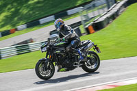 Lower Group Black Bikes